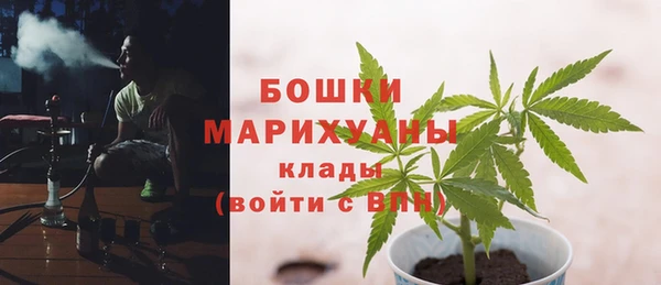 бошки Верхний Тагил