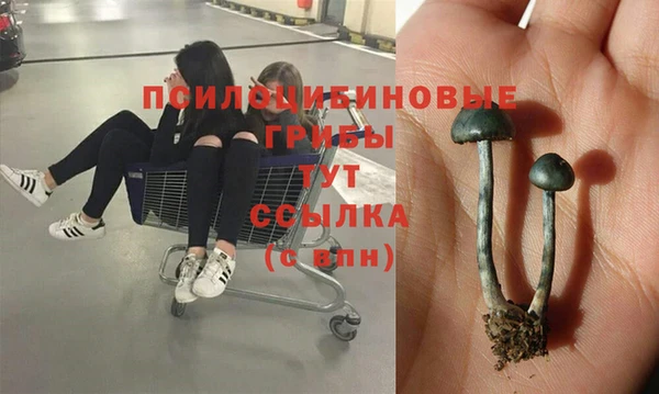 бошки Верхний Тагил